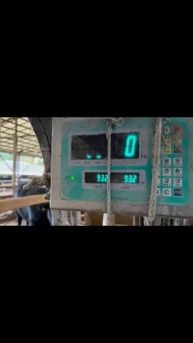 毎日の牛たちへのご飯の量を確実に管理するために、計量器付きの...