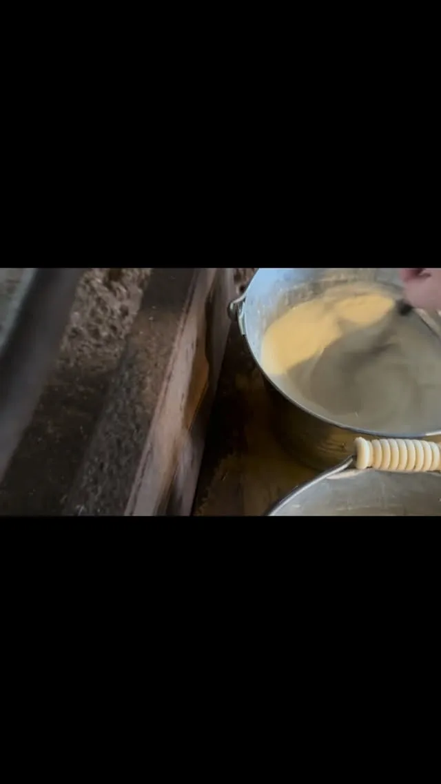 今日は牧場の一日を少しだけ覗いてみましょう。