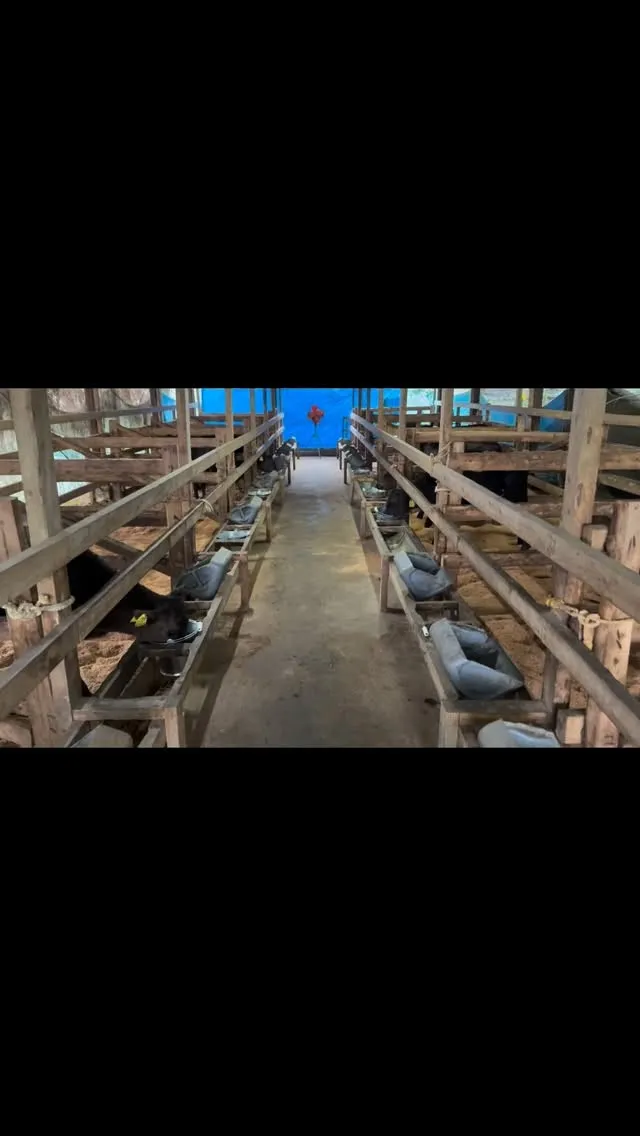 牧場に新しい仲間が加わりました！🐄✨この度、10頭の可愛らし...