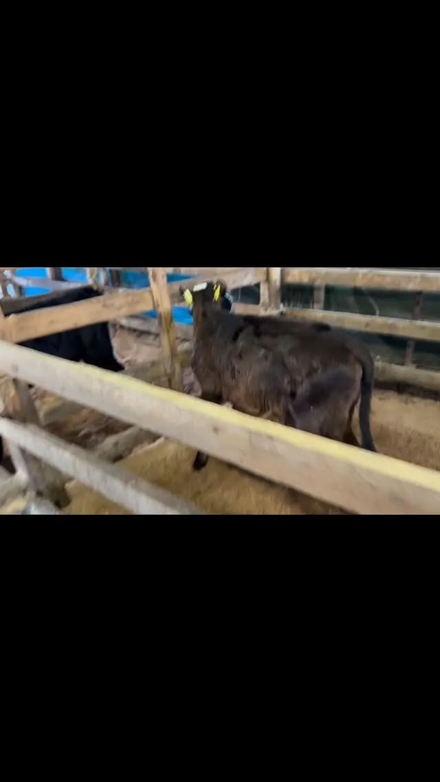 農場での生活には、思わず笑顔になるような小さなハプニングがた...