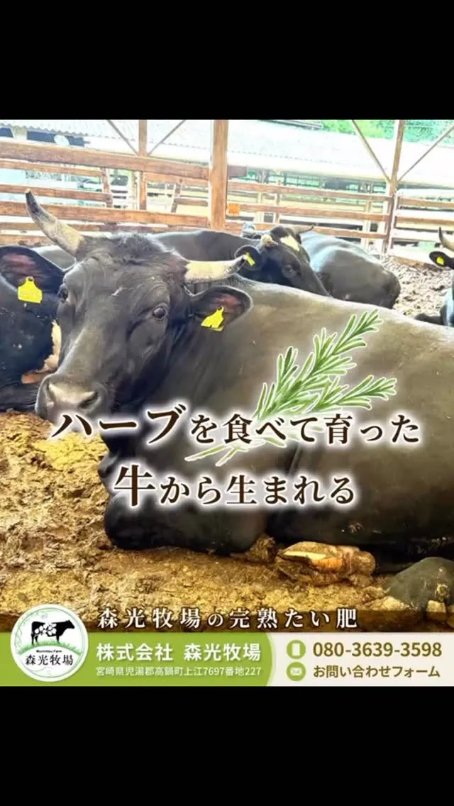 🌱牛ふん堆肥 販売中🌱