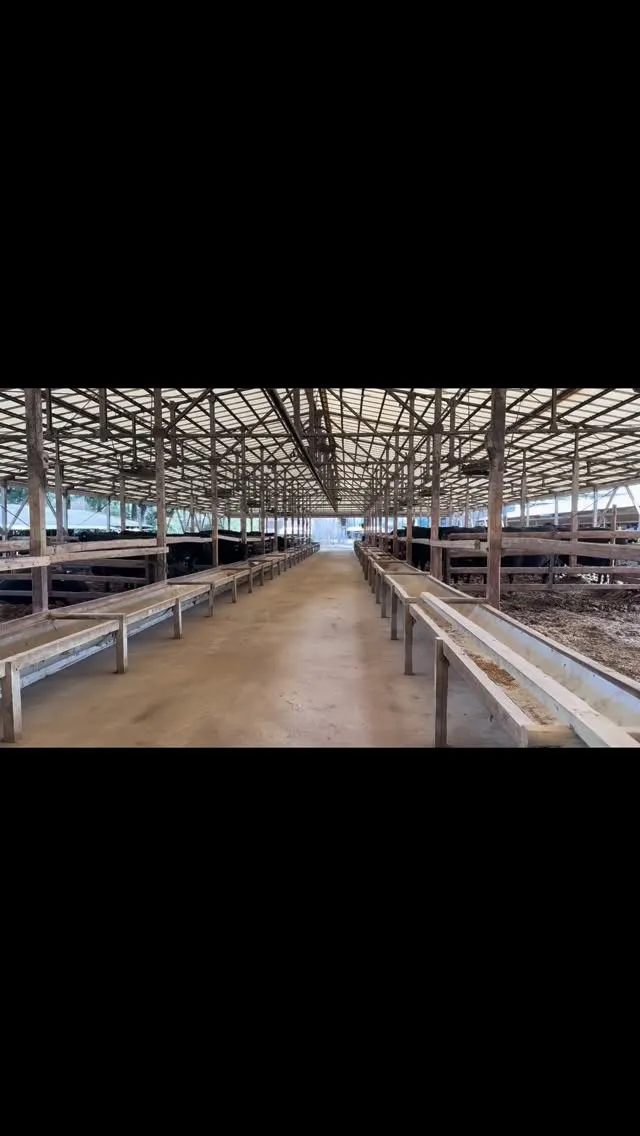 本日は私たちの農場にとって仕事納めの日でしたが、畜産業には休...