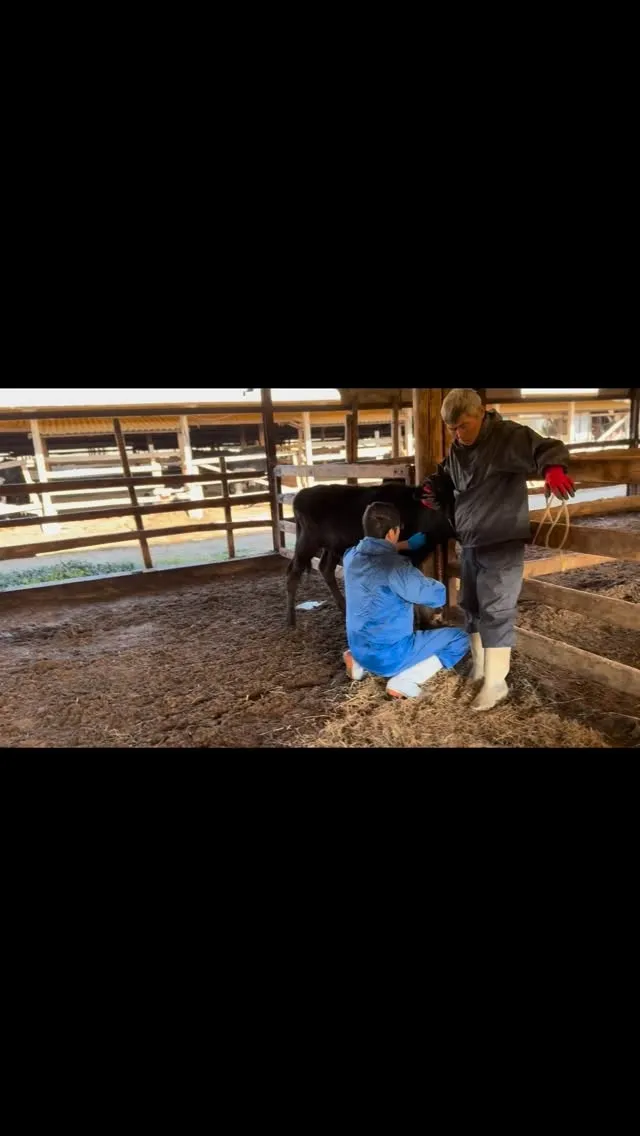 今日も頼りになる獣医師さんのお力を借りて、体調を崩してしまっ...