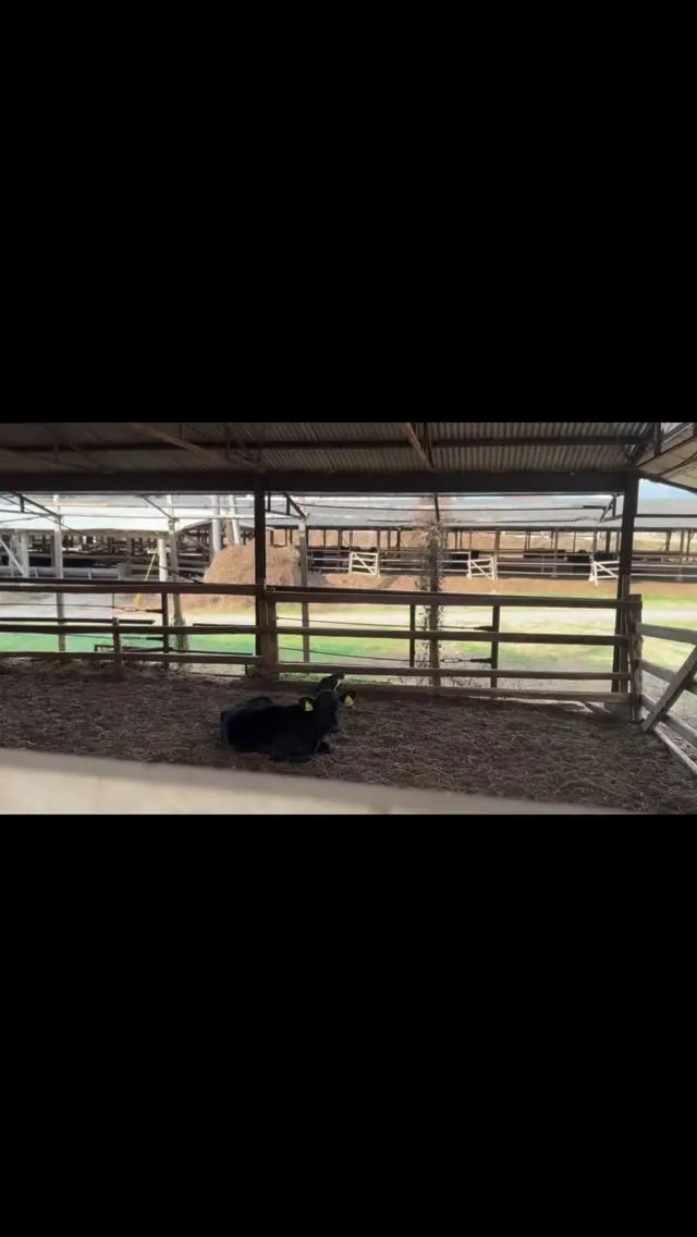 今日も心温まる光景に出会いました✨。