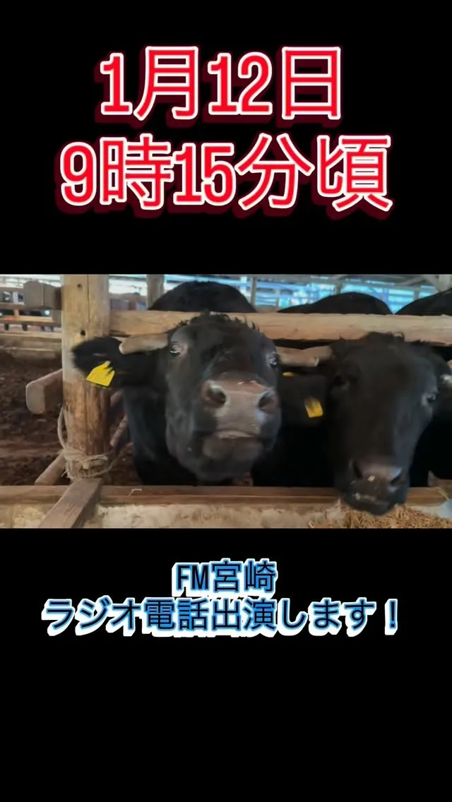 メディア出演のお知らせ