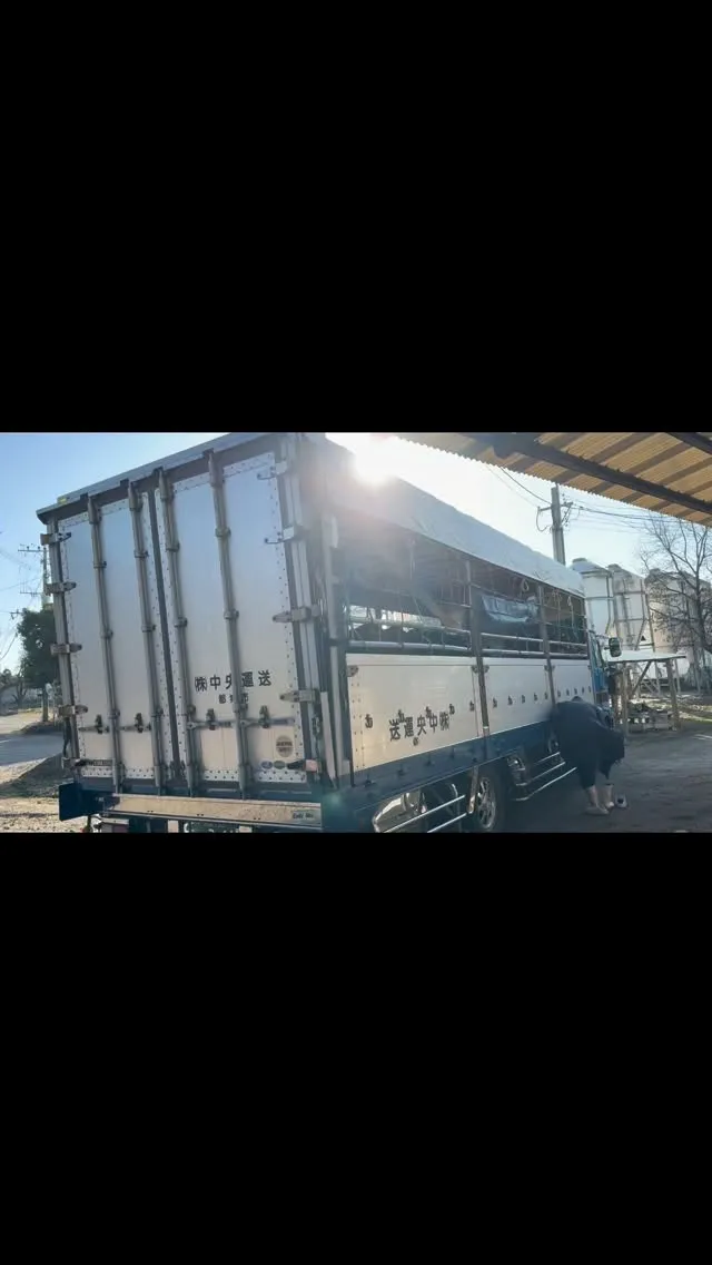 今日はとても嬉しいお知らせがあります！森光牧場に新たに可愛い...