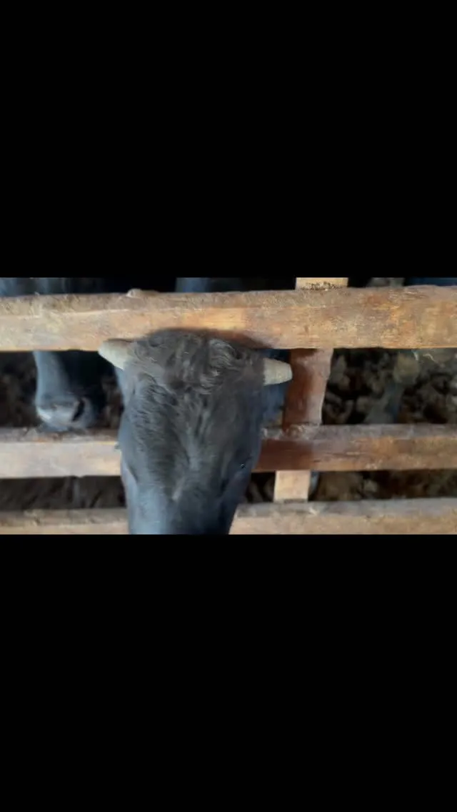 今日はちょっとしたハプニングがありました。