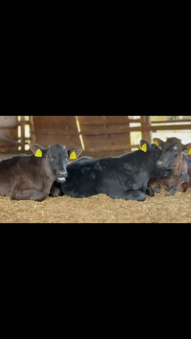 今日は寒さが染みる一日ですね❄️。