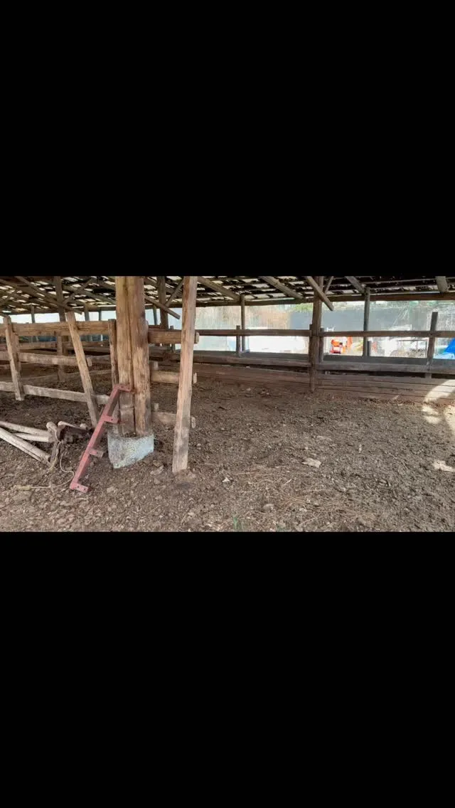 本日は農場での大切なメンテナンスの日でした🐄✨。