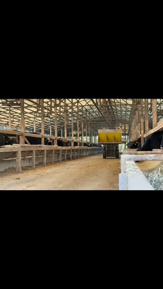 今日は、毎日の餌やりで大活躍している計量器付きの給餌リフトの...