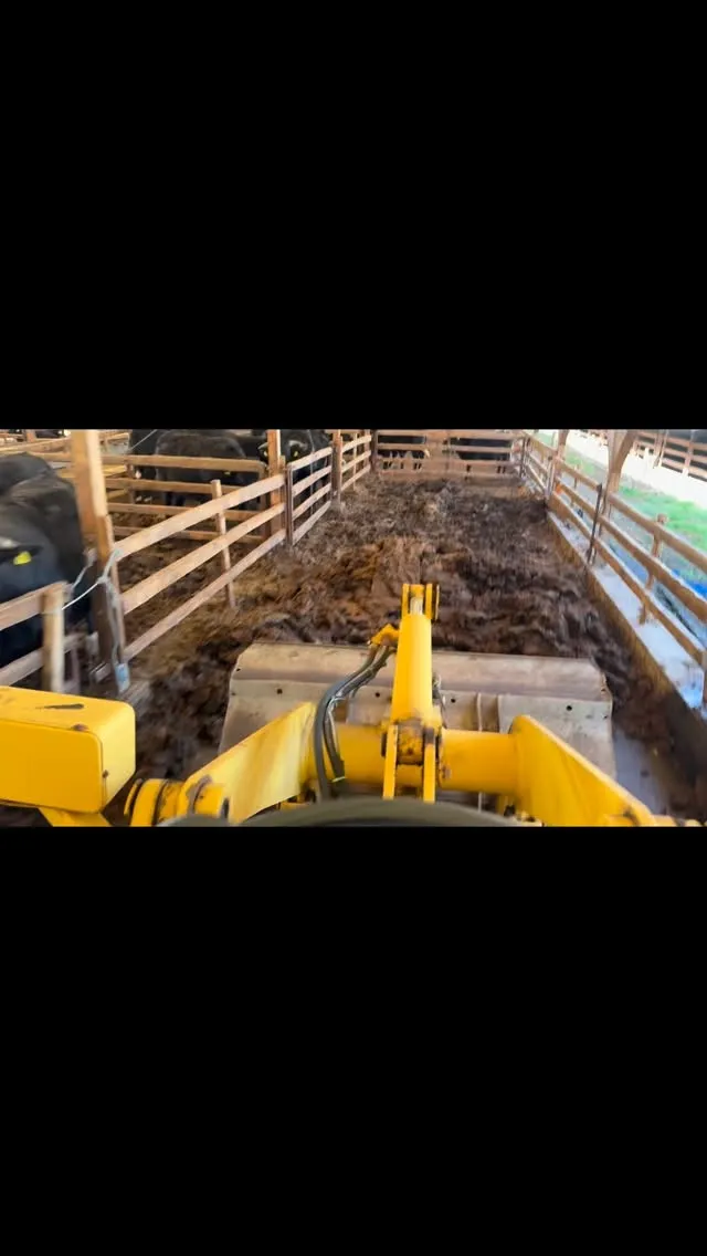 牛舎の床替えを行いました。