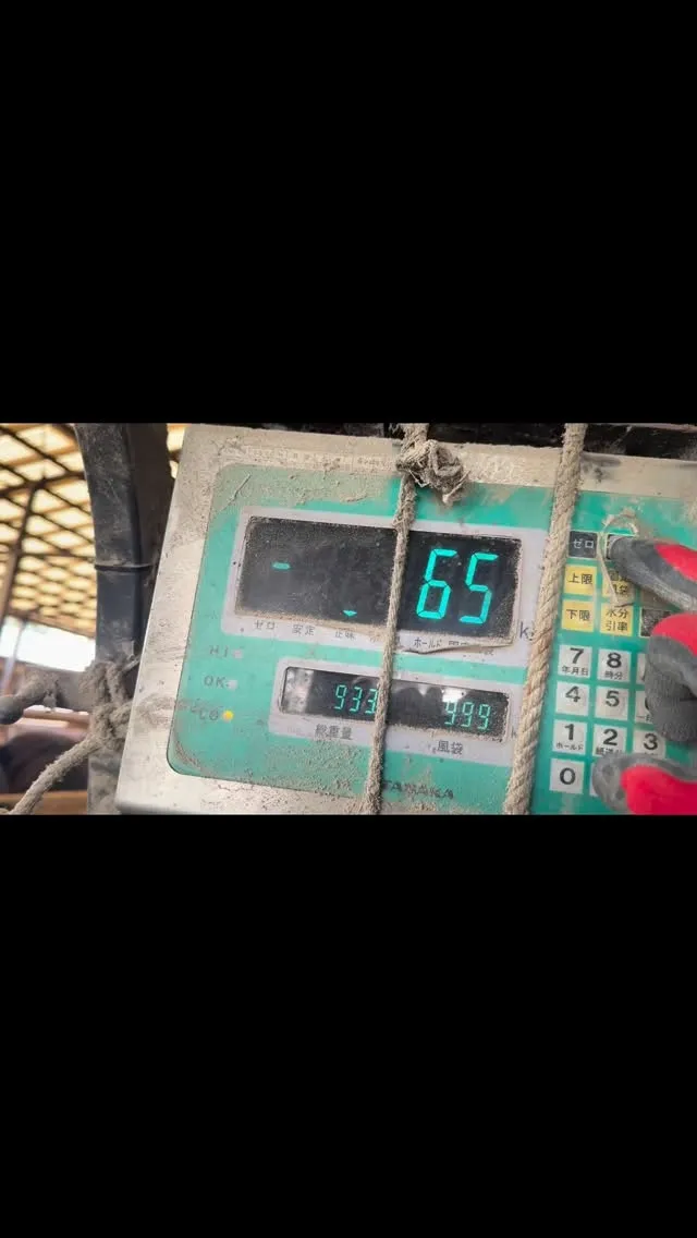 動物たちにとって、健康的な食生活はとても重要です。