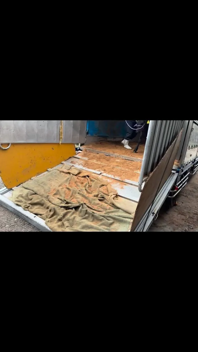 本日、新たに10頭の子牛ちゃんたちが私たちの牧場に仲間入りし...