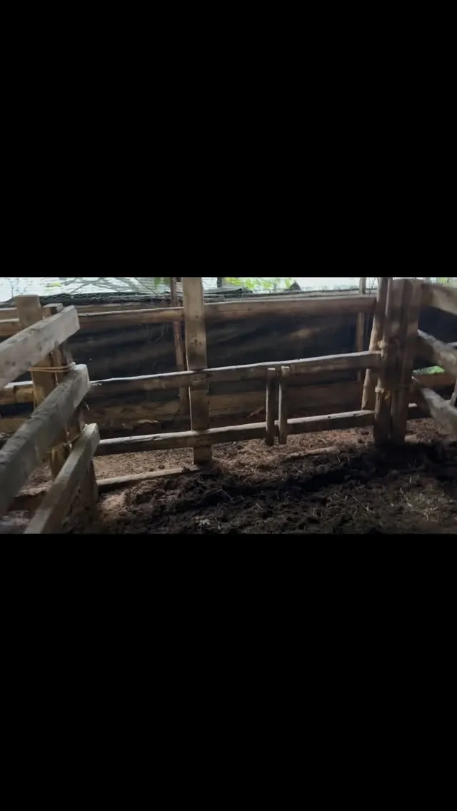 今朝、ちょっとした事件がありました🐄。