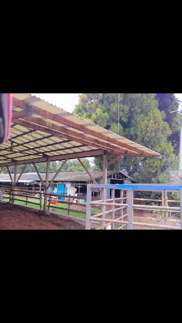 牛舎の中での作業は、まさに職人芸の一環のようです。