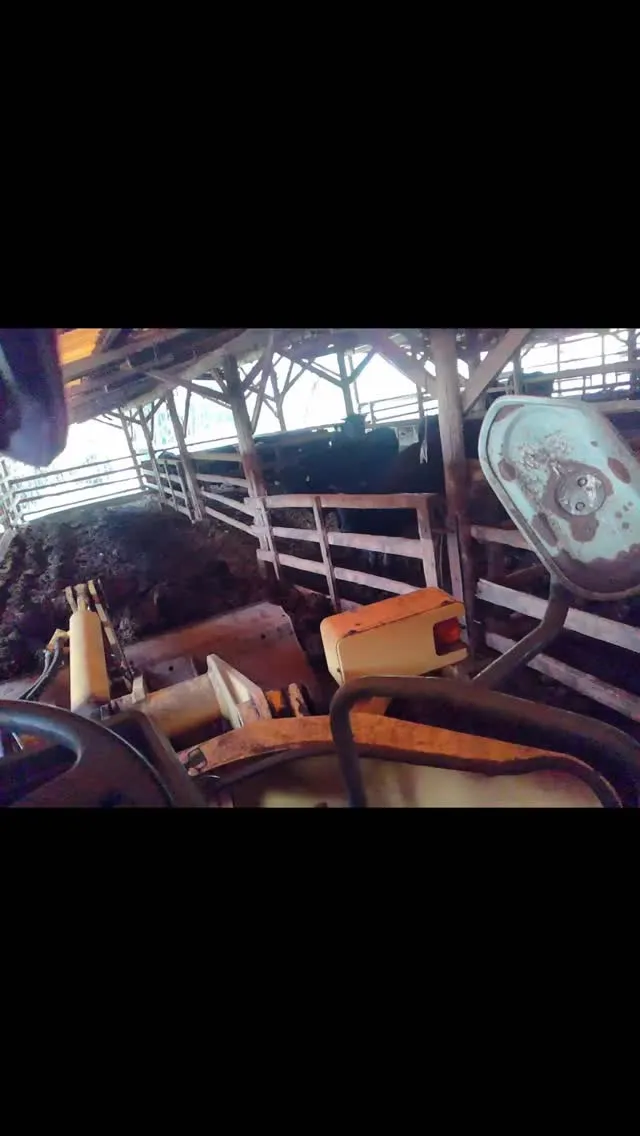 本日は牛舎の堆肥出しを行いました🚜✨。