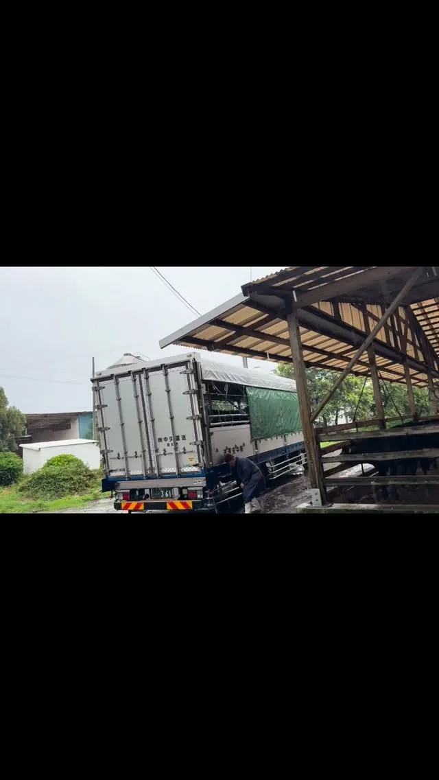 新しい家族が増えました🐄✨