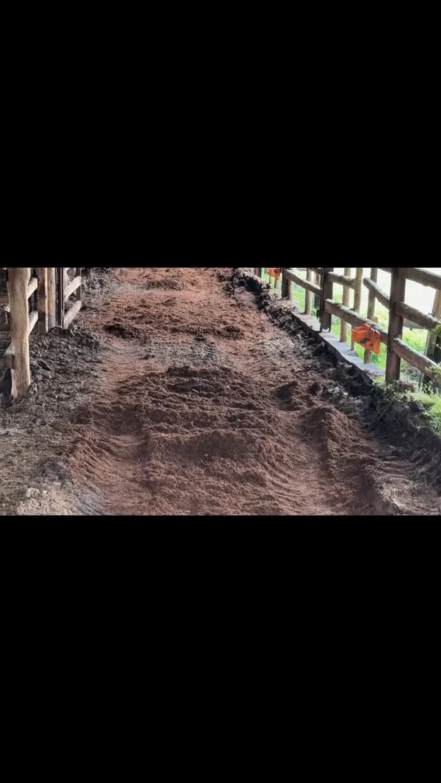 牛さんたちの快適さを大切に🐄✨