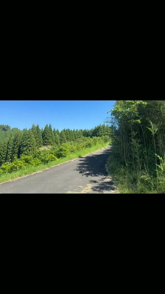 穏やかな風景の中での配達📦